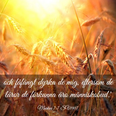 Picture 03 - Markus 7:7 SV1917 - och fåfängt dyrka de mig, eftersom de läror de - Bible Verse Picture