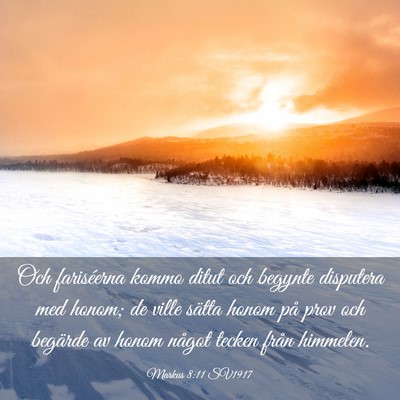 Picture 03 - Markus 8:11 SV1917 - Och fariséerna kommo ditut och begynte disputera - Bible Verse Picture