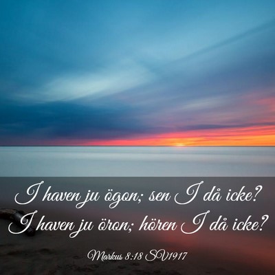 Picture 03 - Markus 8:18 SV1917 - I haven ju ögon; sen I då icke? I haven ju - Bible Verse Picture