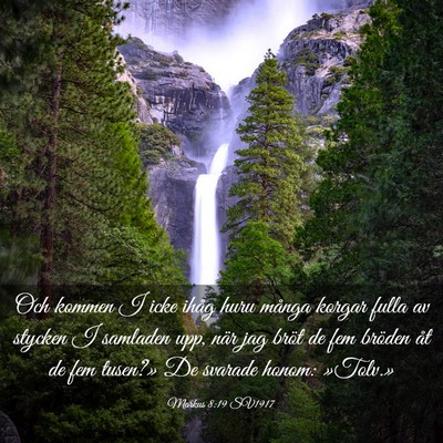 Picture 03 - Markus 8:19 SV1917 - Och kommen I icke ihåg huru många korgar fulla - Bible Verse Picture
