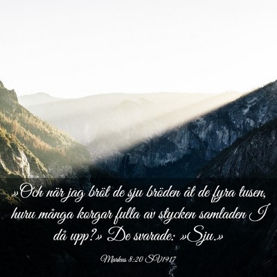 Picture 03 - Markus 8:20 SV1917 - »Och när jag bröt de sju bröden åt de fyra - Bible Verse Picture