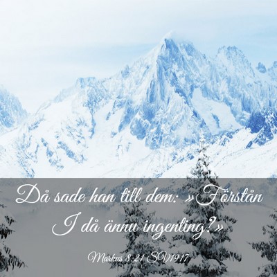 Picture 03 - Markus 8:21 SV1917 - Då sade han till dem: »Förstån I då ännu - Bible Verse Picture