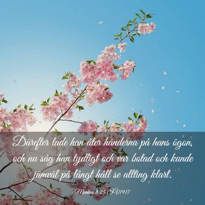 Picture 03 - Markus 8:25 SV1917 - Därefter lade han åter händerna på hans - Bible Verse Picture