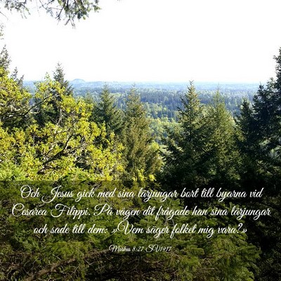 Picture 03 - Markus 8:27 SV1917 - Och Jesus gick med sina lärjungar bort till - Bible Verse Picture