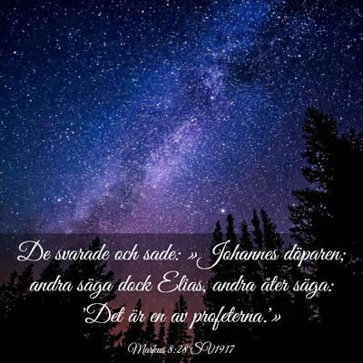 Picture 03 - Markus 8:28 SV1917 - De svarade och sade: »Johannes döparen; andra - Bible Verse Picture