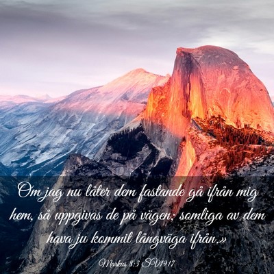 Picture 03 - Markus 8:3 SV1917 - Om jag nu låter dem fastande gå ifrån mig hem, - Bible Verse Picture