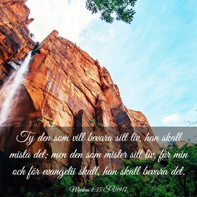 Picture 03 - Markus 8:35 SV1917 - Ty den som vill bevara sitt liv, han skall mista - Bible Verse Picture