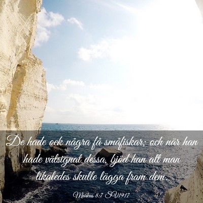 Picture 03 - Markus 8:7 SV1917 - De hade ock några få småfiskar; och när han - Bible Verse Picture