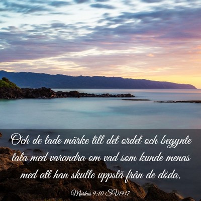 Picture 03 - Markus 9:10 SV1917 - Och de lade märke till det ordet och begynte - Bible Verse Picture