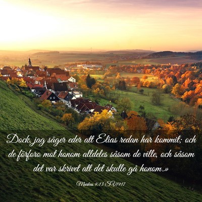 Picture 03 - Markus 9:13 SV1917 - Dock, jag säger eder att Elias redan har kommit; - Bible Verse Picture