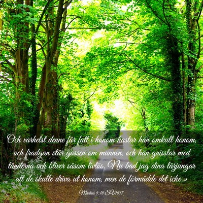 Picture 03 - Markus 9:18 SV1917 - Och varhelst denne får fatt i honom kastar han - Bible Verse Picture