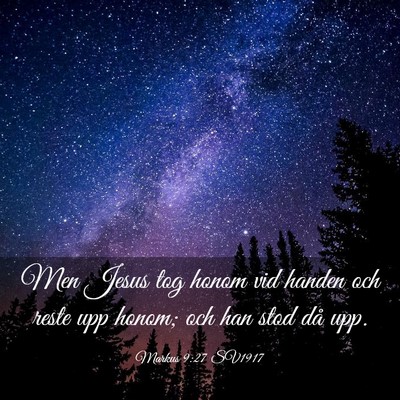 Picture 03 - Markus 9:27 SV1917 - Men Jesus tog honom vid handen och reste upp - Bible Verse Picture