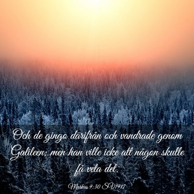 Picture 03 - Markus 9:30 SV1917 - Och de gingo därifrån och vandrade genom - Bible Verse Picture