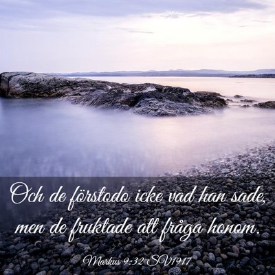 Picture 03 - Markus 9:32 SV1917 - Och de förstodo icke vad han sade, men de - Bible Verse Picture