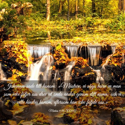 Picture 03 - Markus 9:38 SV1917 - Johannes sade till honom: »Mästare, vi sågo - Bible Verse Picture