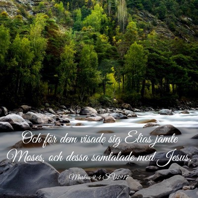 Picture 03 - Markus 9:4 SV1917 - Och för dem visade sig Elias jämte Moses, och - Bible Verse Picture
