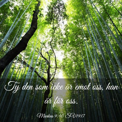 Picture 03 - Markus 9:40 SV1917 - Ty den som icke är emot oss, han är för - Bible Verse Picture
