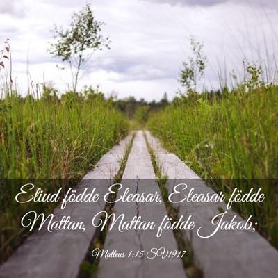 Picture 03 - Matteus 1:15 SV1917 - Eliud födde Eleasar, Eleasar födde Mattan, - Bible Verse Picture