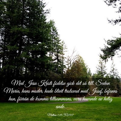 Picture 03 - Matteus 1:18 SV1917 - Med Jesu Kristi födelse gick det så till. Sedan - Bible Verse Picture