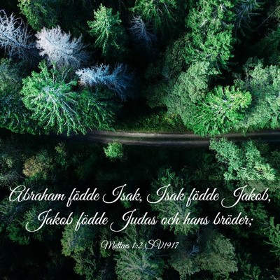 Picture 03 - Matteus 1:2 SV1917 - Abraham födde Isak, Isak födde Jakob, Jakob - Bible Verse Picture