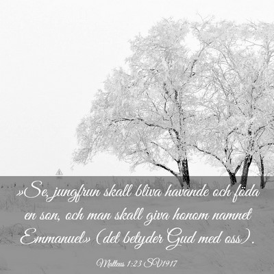 Picture 03 - Matteus 1:23 SV1917 - »Se, jungfrun skall bliva havande och föda en - Bible Verse Picture