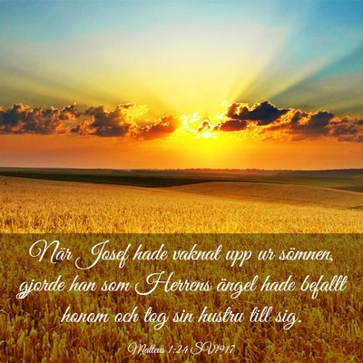 Picture 03 - Matteus 1:24 SV1917 - När Josef hade vaknat upp ur sömnen, gjorde han - Bible Verse Picture