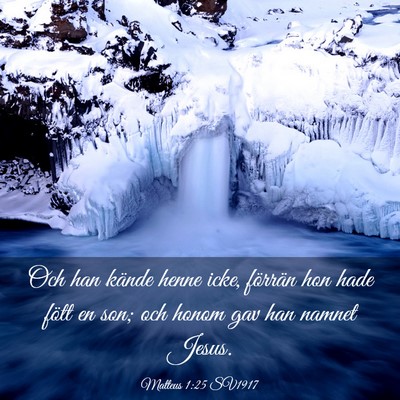 Picture 03 - Matteus 1:25 SV1917 - Och han kände henne icke, förrän hon hade - Bible Verse Picture