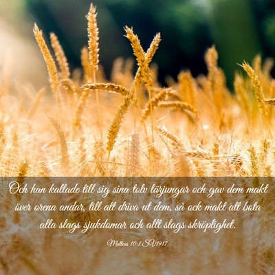 Picture 03 - Matteus 10:1 SV1917 - Och han kallade till sig sina tolv lärjungar och - Bible Verse Picture