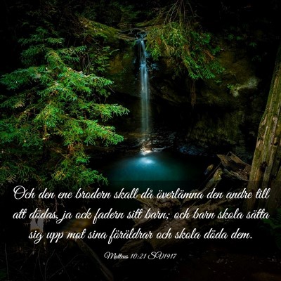Picture 03 - Matteus 10:21 SV1917 - Och den ene brodern skall då överlämna den - Bible Verse Picture