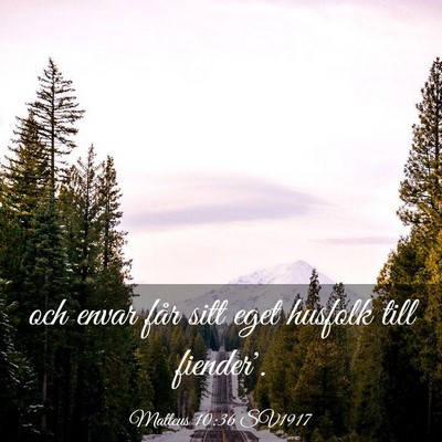 Picture 03 - Matteus 10:36 SV1917 - och envar får sitt eget husfolk till - Bible Verse Picture