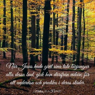 Picture 03 - Matteus 11:1 SV1917 - När Jesus hade givit sina tolv lärjungar alla - Bible Verse Picture