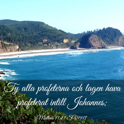 Picture 03 - Matteus 11:13 SV1917 - Ty alla profeterna och lagen hava profeterat - Bible Verse Picture
