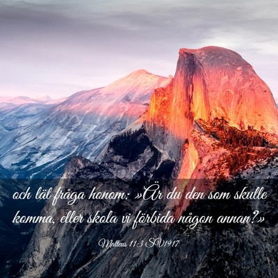 Picture 03 - Matteus 11:3 SV1917 - och lät fråga honom: »Är du den som skulle - Bible Verse Picture