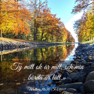 Picture 03 - Matteus 11:30 SV1917 - Ty mitt ok är milt, och min börda är - Bible Verse Picture