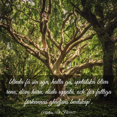 Picture 03 - Matteus 11:5 SV1917 - blinda få sin syn, halta gå, spetälska bliva - Bible Verse Picture