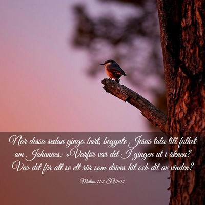 Picture 03 - Matteus 11:7 SV1917 - När dessa sedan gingo bort, begynte Jesus tala - Bible Verse Picture
