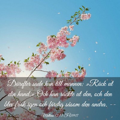 Picture 03 - Matteus 12:13 SV1917 - Därefter sade han till mannen: »Räck ut din - Bible Verse Picture