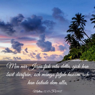 Picture 03 - Matteus 12:15 SV1917 - Men när Jesus fick veta detta, gick han bort - Bible Verse Picture