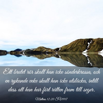 Picture 03 - Matteus 12:20 SV1917 - Ett brutet rör skall han icke sönderkrossa, och - Bible Verse Picture