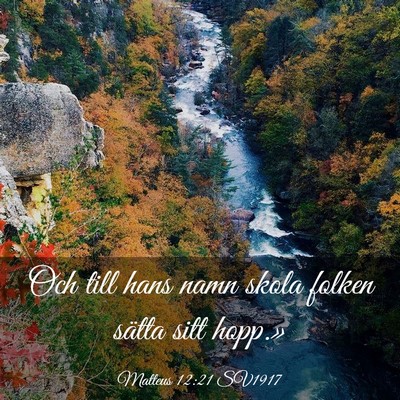 Picture 03 - Matteus 12:21 SV1917 - Och till hans namn skola folken sätta sitt - Bible Verse Picture