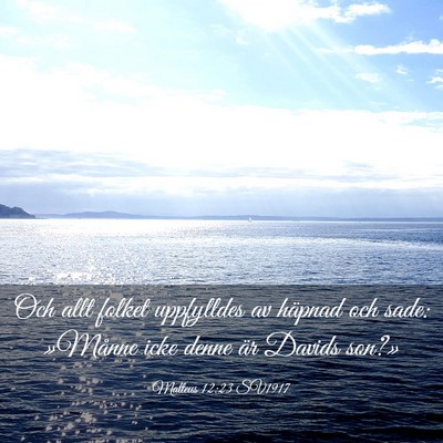 Picture 03 - Matteus 12:23 SV1917 - Och allt folket uppfylldes av häpnad och sade: - Bible Verse Picture