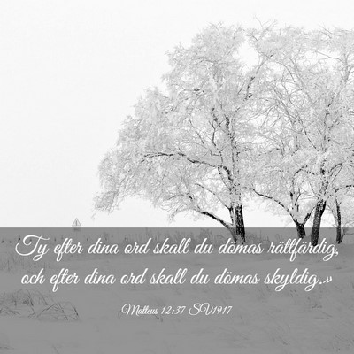 Picture 03 - Matteus 12:37 SV1917 - Ty efter dina ord skall du dömas rättfärdig, - Bible Verse Picture