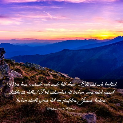 Picture 03 - Matteus 12:39 SV1917 - Men han svarade och sade till dem: »Ett ont och - Bible Verse Picture