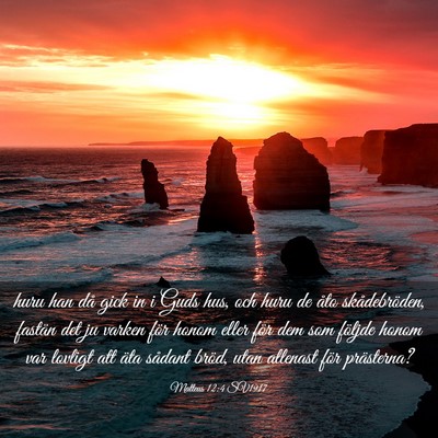 Picture 03 - Matteus 12:4 SV1917 - huru han då gick in i Guds hus, och huru de åto - Bible Verse Picture
