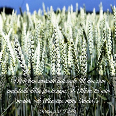 Picture 03 - Matteus 12:48 SV1917 - Men han svarade och sade till den som omtalade - Bible Verse Picture