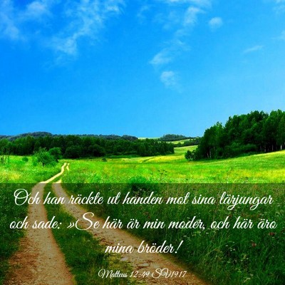Picture 03 - Matteus 12:49 SV1917 - Och han räckte ut handen mot sina lärjungar och - Bible Verse Picture