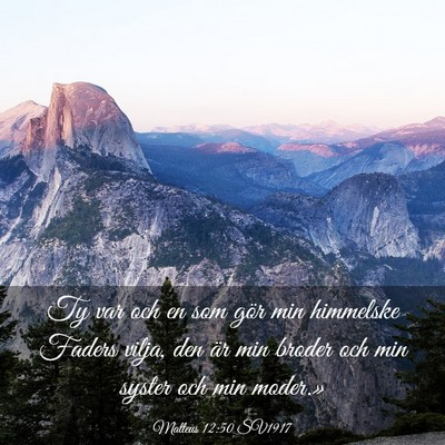 Picture 03 - Matteus 12:50 SV1917 - Ty var och en som gör min himmelske Faders - Bible Verse Picture