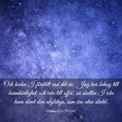 Picture 03 - Matteus 12:7 SV1917 - Och haden I förstått vad det är: 'Jag har - Bible Verse Picture