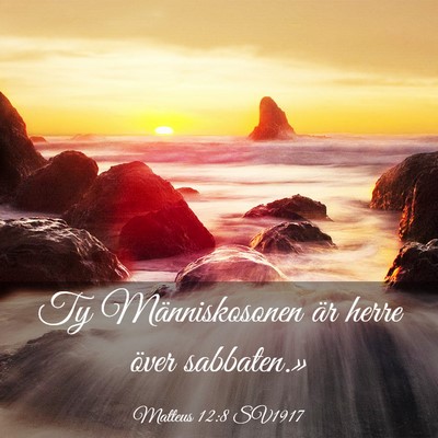 Picture 03 - Matteus 12:8 SV1917 - Ty Människosonen är herre över - Bible Verse Picture