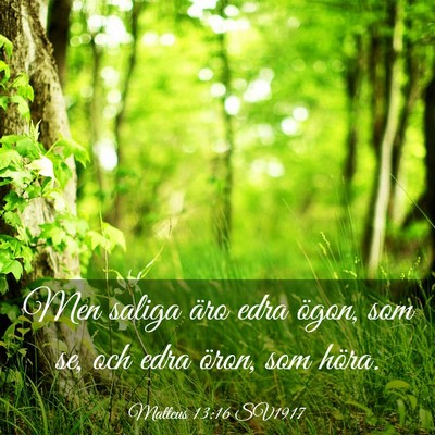 Picture 03 - Matteus 13:16 SV1917 - Men saliga äro edra ögon, som se, och edra - Bible Verse Picture